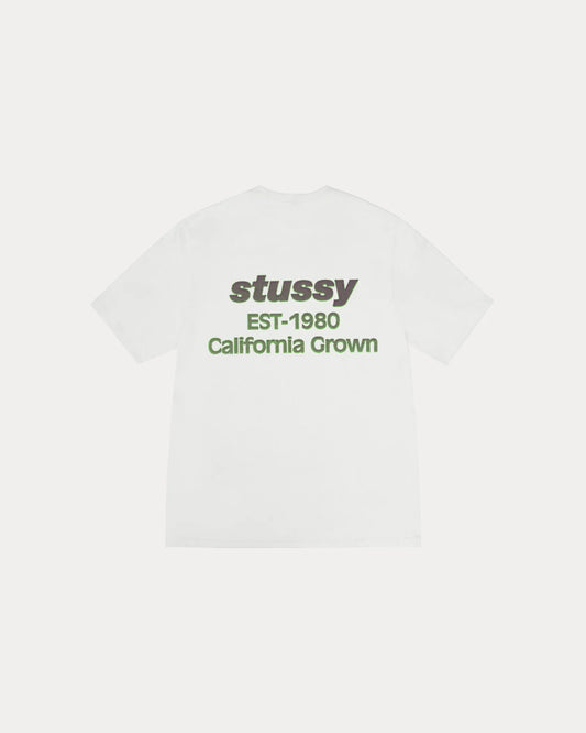 STUSSY CALIFORNIA GROWN TEE PIGMENT DYED