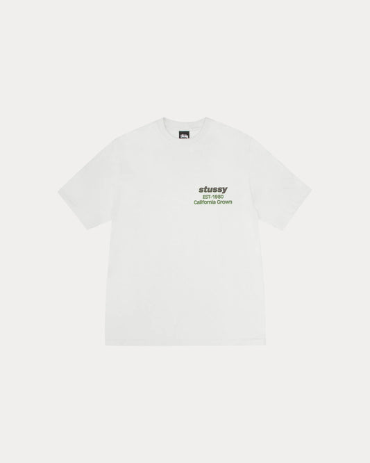 STUSSY CALIFORNIA GROWN TEE PIGMENT DYED